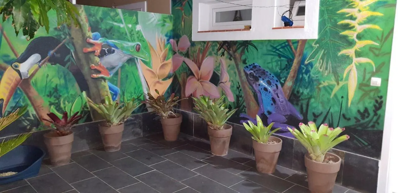 Accommodatie bij particulieren La Selvita Bajamar
