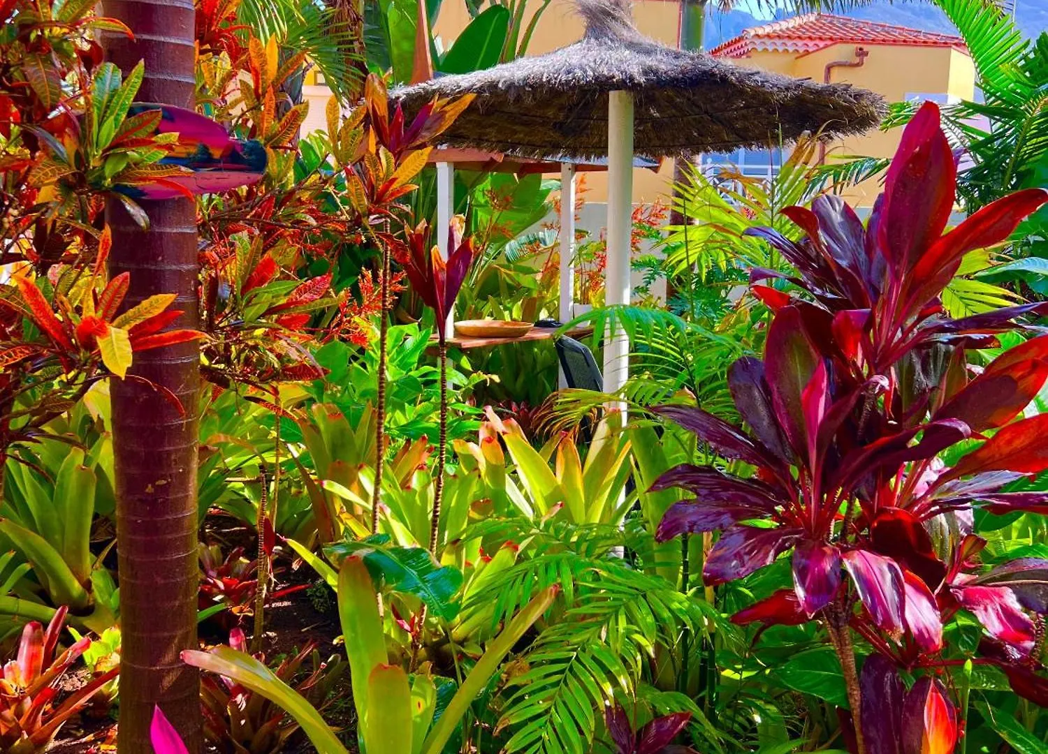 Homestay La Selvita Bajamar